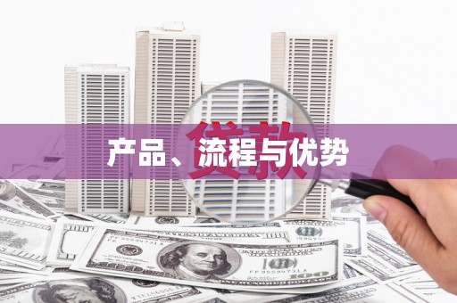 丰润产品、流程与优势