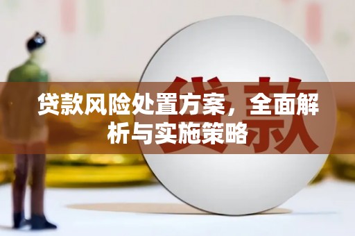 丰润贷款风险处置方案，全面解析与实施策略