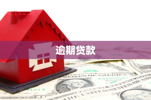 丰润逾期贷款